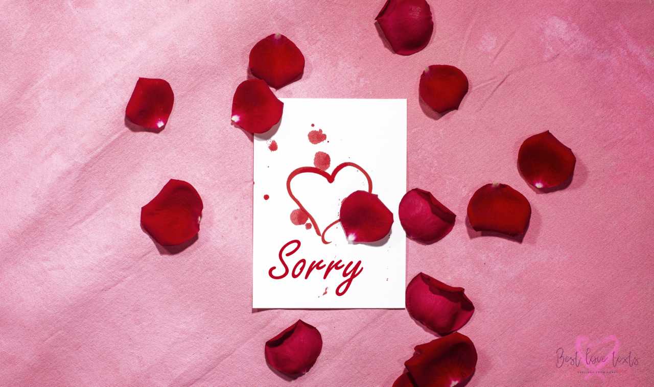 Sorry love text messages