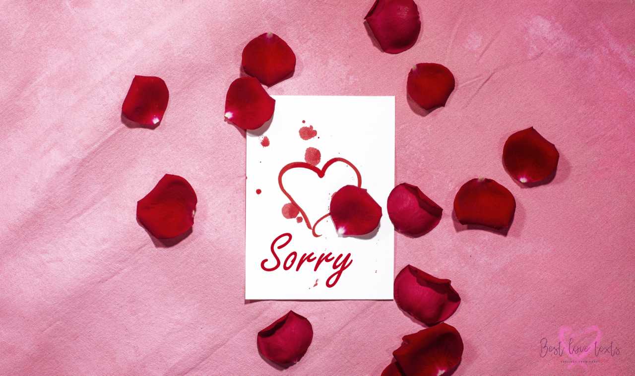 I Am Sorry Text Messages Best Love Texts